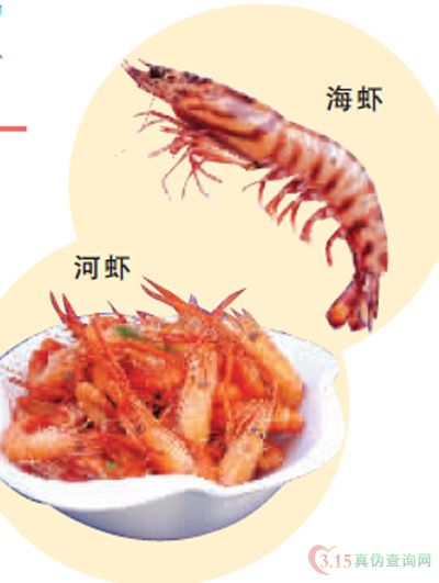 河虾与海虾是如何区别的